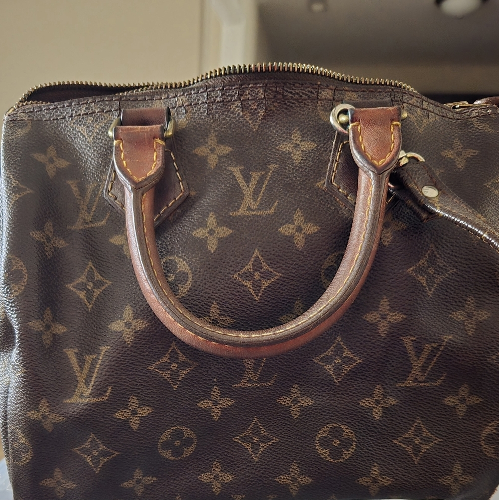 Louis Vuitton Classic Monogram Speedy
